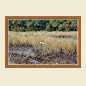 bird in flight