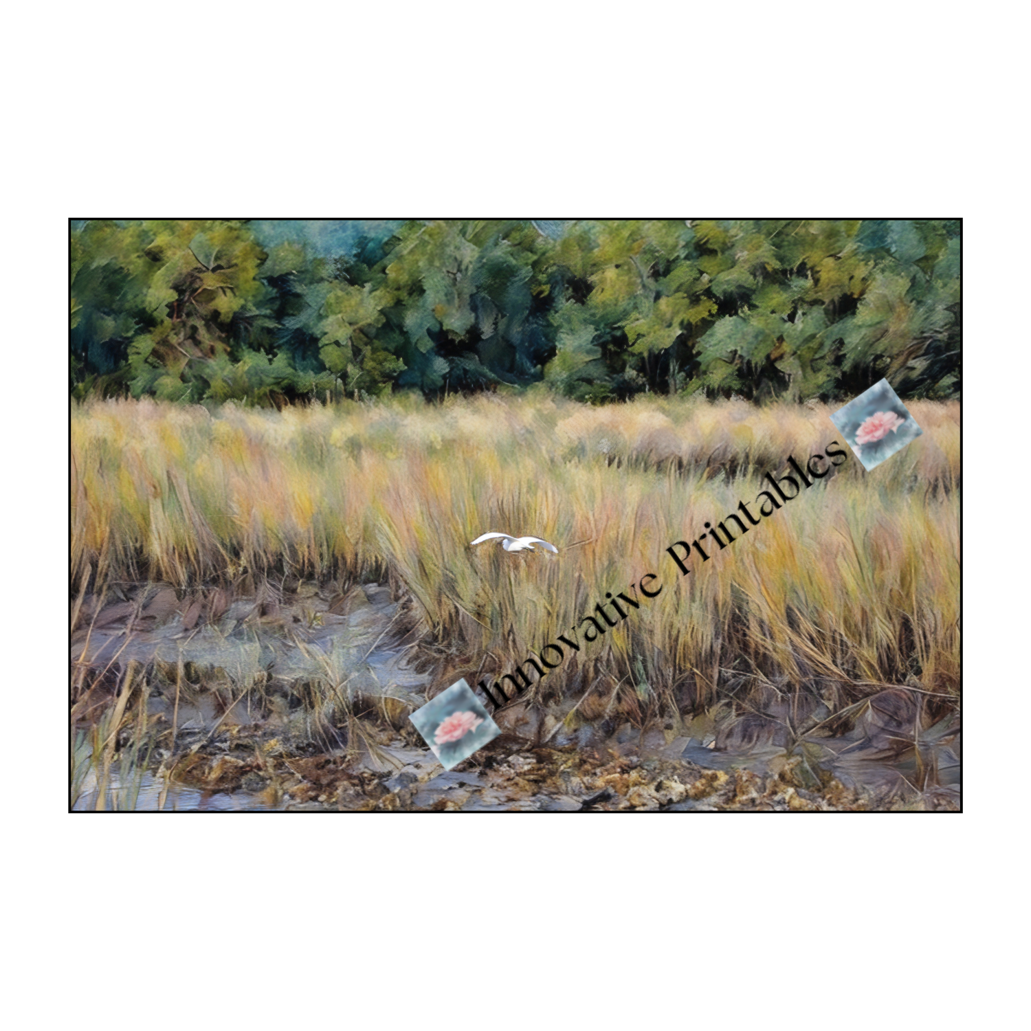 bird in flight