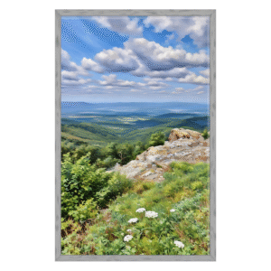 Field of Flowers Printable Art