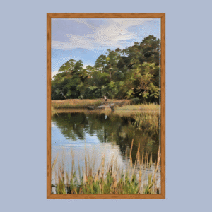 lazy morning on the salt marsh