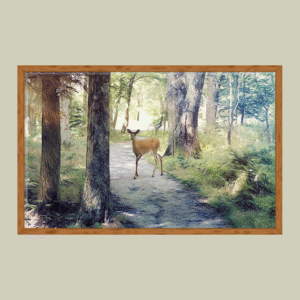 new friend on the trail