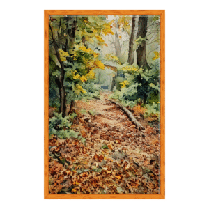 tranquil forest trail