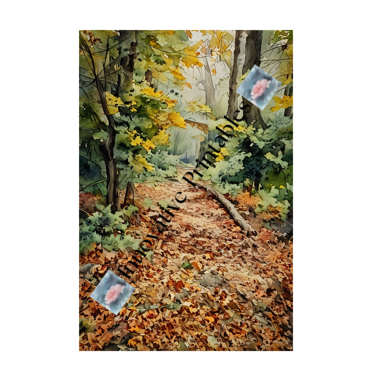 tranquil forest trail