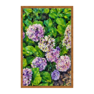 hydrangea string