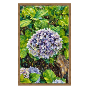 purple hydrangea