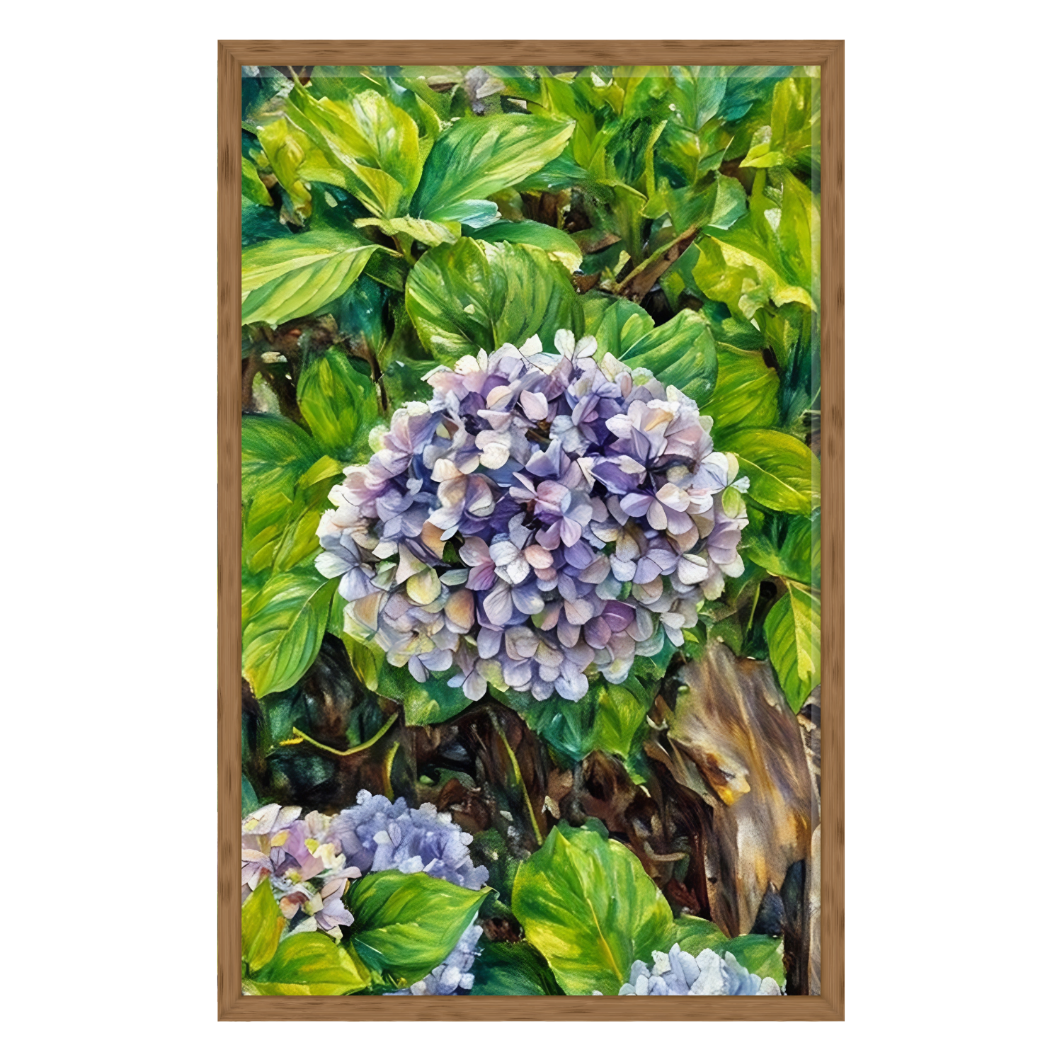 purple hydrangea