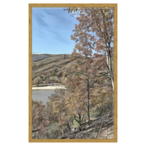 autumn days printable art