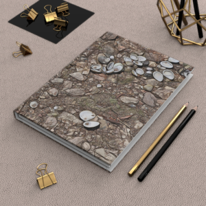 lake shells journal