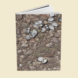 lake shells journal