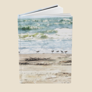 grackles on the beach journal